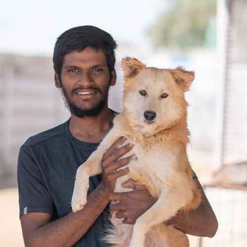 Sai - Volunteer Breath Animal Rescue Home