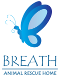 Breath Home Logo - Website Versions-01