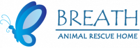 Breath Home Logo - Website Versions-02